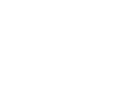 Area Süd - Wirtschaftsraum Südösterreich